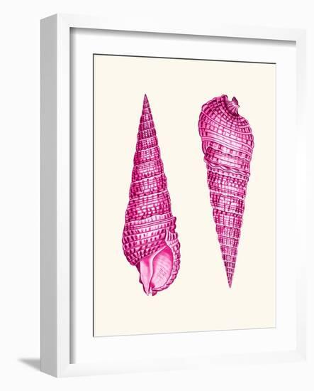 Pink Shells a-Fab Funky-Framed Art Print