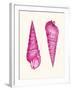 Pink Shells a-Fab Funky-Framed Art Print