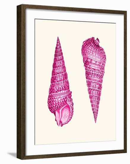 Pink Shells a-Fab Funky-Framed Art Print