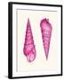 Pink Shells a-Fab Funky-Framed Art Print