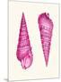 Pink Shells a-Fab Funky-Mounted Premium Giclee Print