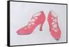 Pink Shoes, 1997-Alan Byrne-Framed Stretched Canvas