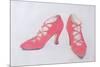 Pink Shoes, 1997-Alan Byrne-Mounted Giclee Print