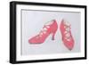 Pink Shoes, 1997-Alan Byrne-Framed Giclee Print