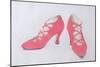 Pink Shoes, 1997-Alan Byrne-Mounted Premium Giclee Print