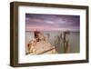 Pink sky at dawn on the Palafito Pier in the Carrasqueira Natural Reserve of Sado River, Alcacer do-Roberto Moiola-Framed Photographic Print