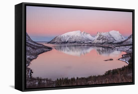 Pink sky at sunrise lights up the snowy peaks reflected in the cold sea, Bergsbotn, Senja, Norway-Roberto Moiola-Framed Stretched Canvas