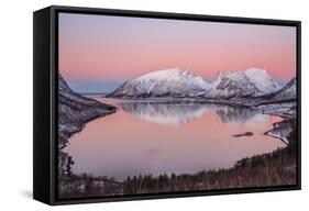 Pink sky at sunrise lights up the snowy peaks reflected in the cold sea, Bergsbotn, Senja, Norway-Roberto Moiola-Framed Stretched Canvas