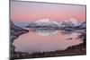 Pink sky at sunrise lights up the snowy peaks reflected in the cold sea, Bergsbotn, Senja, Norway-Roberto Moiola-Mounted Photographic Print