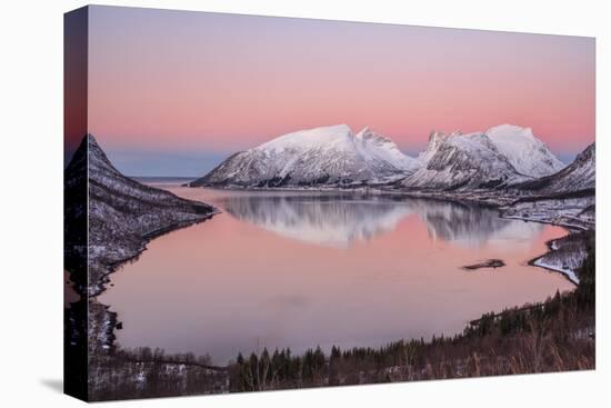 Pink sky at sunrise lights up the snowy peaks reflected in the cold sea, Bergsbotn, Senja, Norway-Roberto Moiola-Stretched Canvas