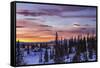 Pink sky at sunrise Norway Europe-ClickAlps-Framed Stretched Canvas