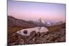 Pink Sky at Sunrise on the Matterhorn Reflected in Stellisee-Roberto Moiola-Mounted Photographic Print