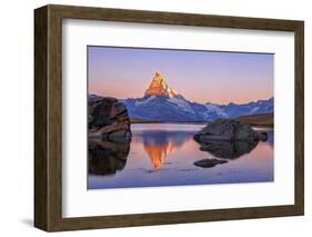 Pink Sky at Sunrise on the Matterhorn Reflected in Stellisee-Roberto Moiola-Framed Photographic Print