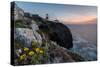 Pink sky at sunset and yellow flowers frame the lighthouse, Cabo De Sao Vicente, Sagres, Algarve, P-Roberto Moiola-Stretched Canvas