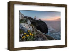 Pink sky at sunset and yellow flowers frame the lighthouse, Cabo De Sao Vicente, Sagres, Algarve, P-Roberto Moiola-Framed Photographic Print