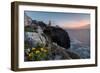 Pink sky at sunset and yellow flowers frame the lighthouse, Cabo De Sao Vicente, Sagres, Algarve, P-Roberto Moiola-Framed Photographic Print