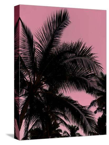 Pink Sky Palms-Amanda Abel-Stretched Canvas