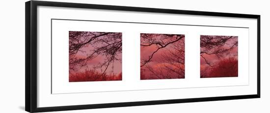 Pink Sky-Suzie Pibworth-Framed Art Print