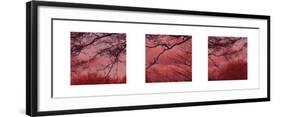 Pink Sky-Suzie Pibworth-Framed Art Print