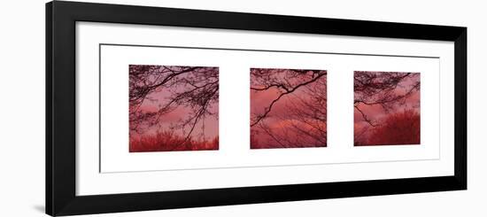 Pink Sky-Suzie Pibworth-Framed Art Print