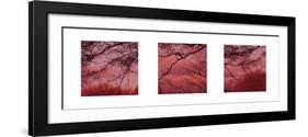 Pink Sky-Suzie Pibworth-Framed Art Print