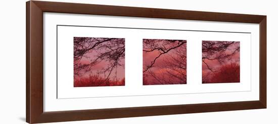 Pink Sky-Suzie Pibworth-Framed Art Print