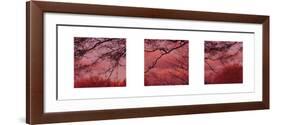 Pink Sky-Suzie Pibworth-Framed Art Print