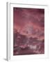 Pink Sky-Design Fabrikken-Framed Photographic Print