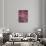 Pink Sky-Design Fabrikken-Photographic Print displayed on a wall