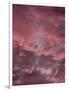 Pink Sky-Design Fabrikken-Framed Photographic Print