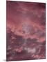 Pink Sky-Design Fabrikken-Mounted Photographic Print