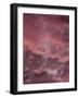 Pink Sky-Design Fabrikken-Framed Photographic Print