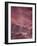 Pink Sky-Design Fabrikken-Framed Photographic Print