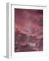 Pink Sky-Design Fabrikken-Framed Photographic Print