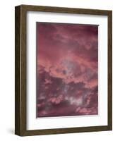 Pink Sky-Design Fabrikken-Framed Photographic Print