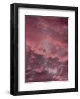 Pink Sky-Design Fabrikken-Framed Photographic Print