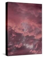 Pink Sky-Design Fabrikken-Stretched Canvas
