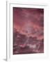 Pink Sky-Design Fabrikken-Framed Photographic Print