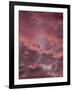 Pink Sky-Design Fabrikken-Framed Photographic Print