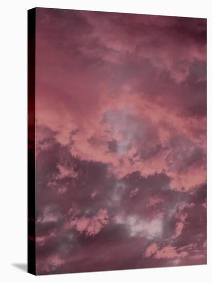 Pink Sky-Design Fabrikken-Stretched Canvas