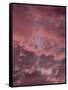 Pink Sky-Design Fabrikken-Framed Stretched Canvas