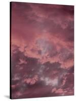 Pink Sky-Design Fabrikken-Stretched Canvas