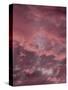 Pink Sky-Design Fabrikken-Stretched Canvas