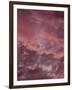 Pink Sky-Design Fabrikken-Framed Photographic Print