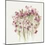 Pink Spring Garden-Asia Jensen-Mounted Art Print