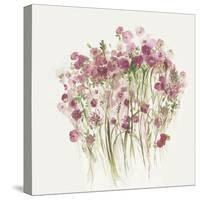 Pink Spring Garden-Asia Jensen-Stretched Canvas