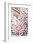 Pink Spring Magnolias in Paris-Carina Okula-Framed Photographic Print