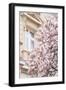 Pink Spring Magnolias in Paris-Carina Okula-Framed Photographic Print