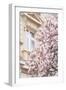 Pink Spring Magnolias in Paris-Carina Okula-Framed Photographic Print