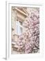 Pink Spring Magnolias in Paris-Carina Okula-Framed Photographic Print